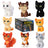 Warrior Cats 6" Mystery Plush - Series 2