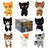 Warrior Cats 6" Mystery Plush - Series 1
