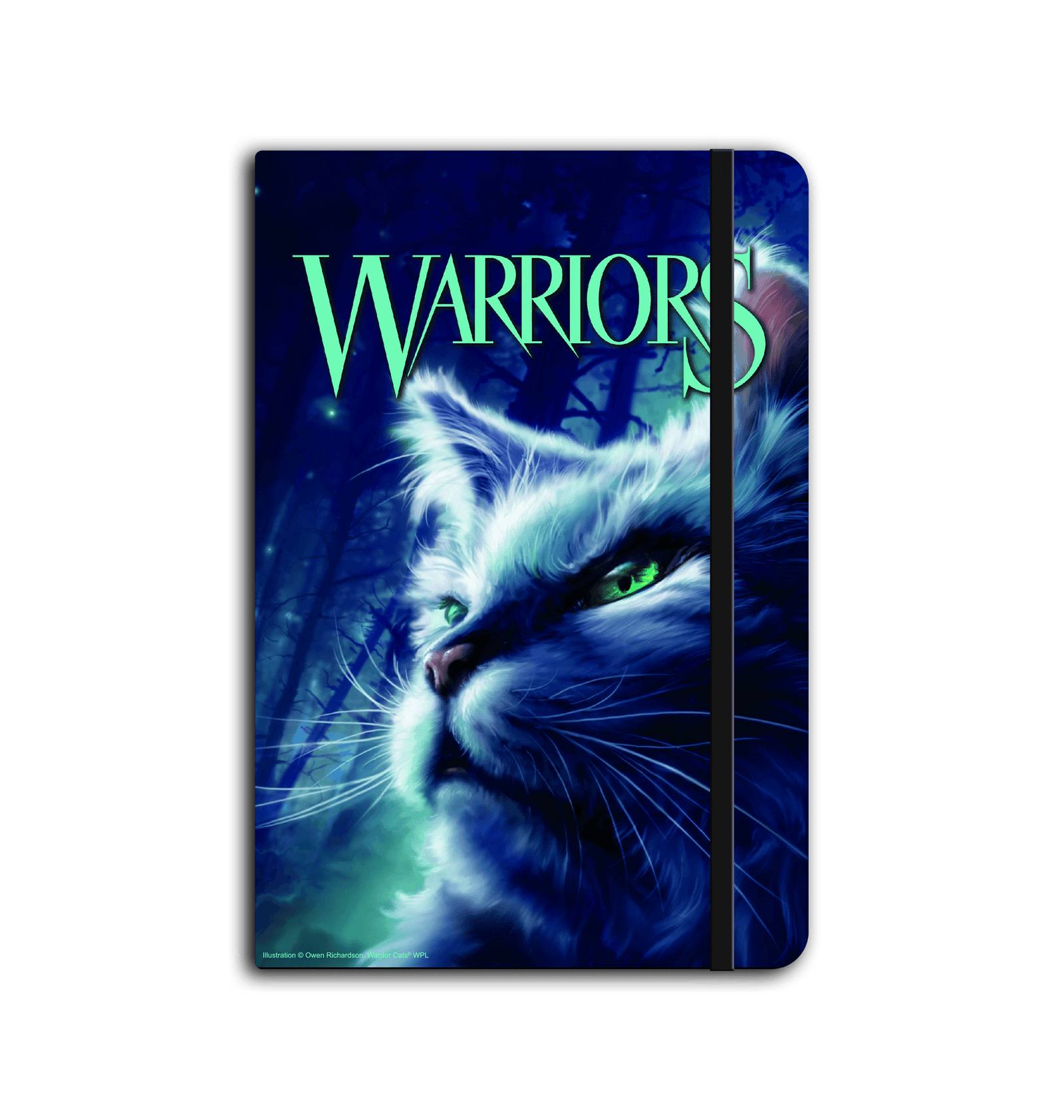 A Dangerous Path - A5 Notebook