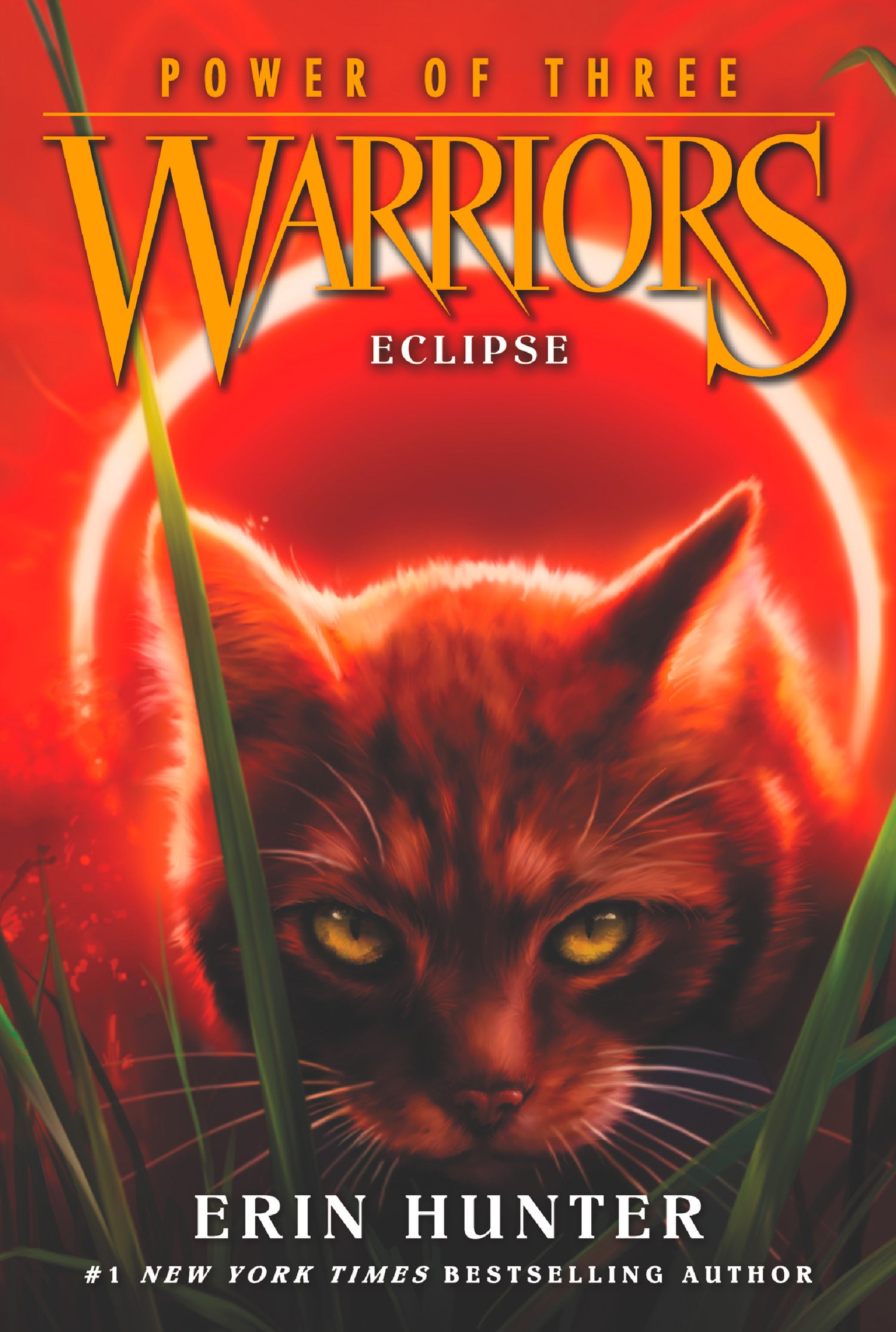 Warriors: Power of Three: Warriors: Power of Three Box Set