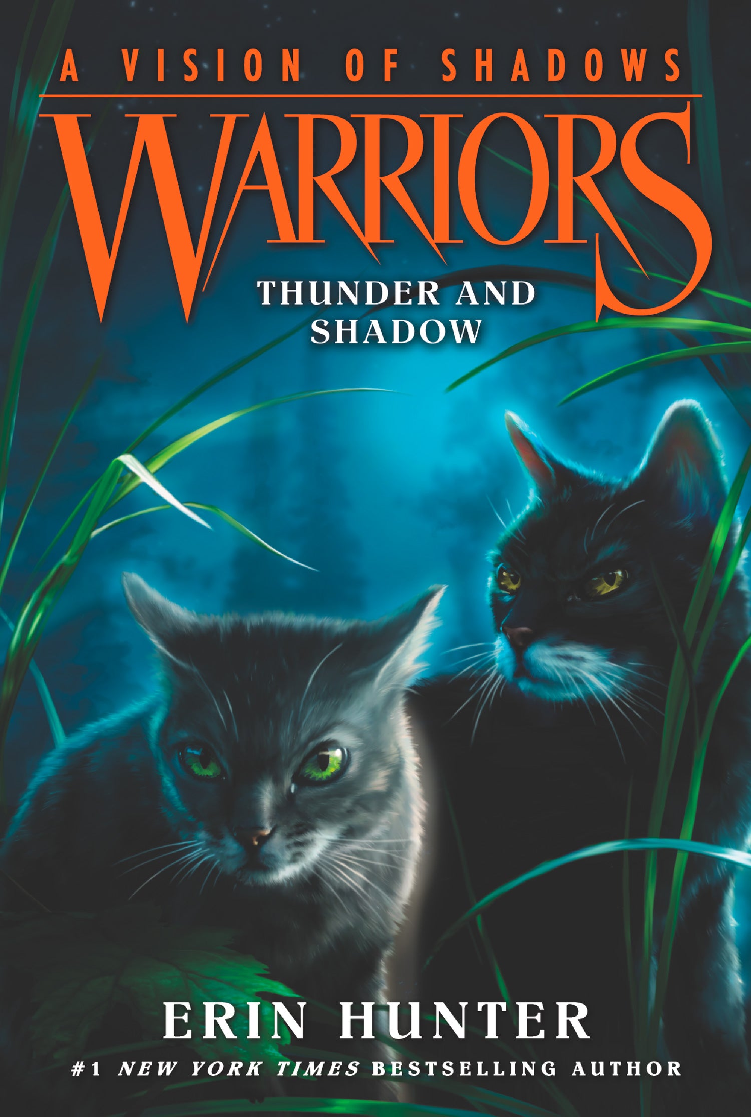 Warriors A Vision Of Shadows Thunder And Shadow Book