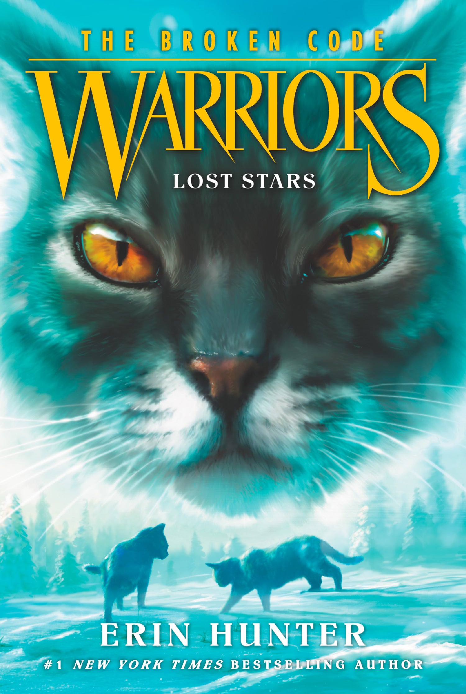 Warriors The Broken Code Lost Stars Book l Official Warrior Cats Store