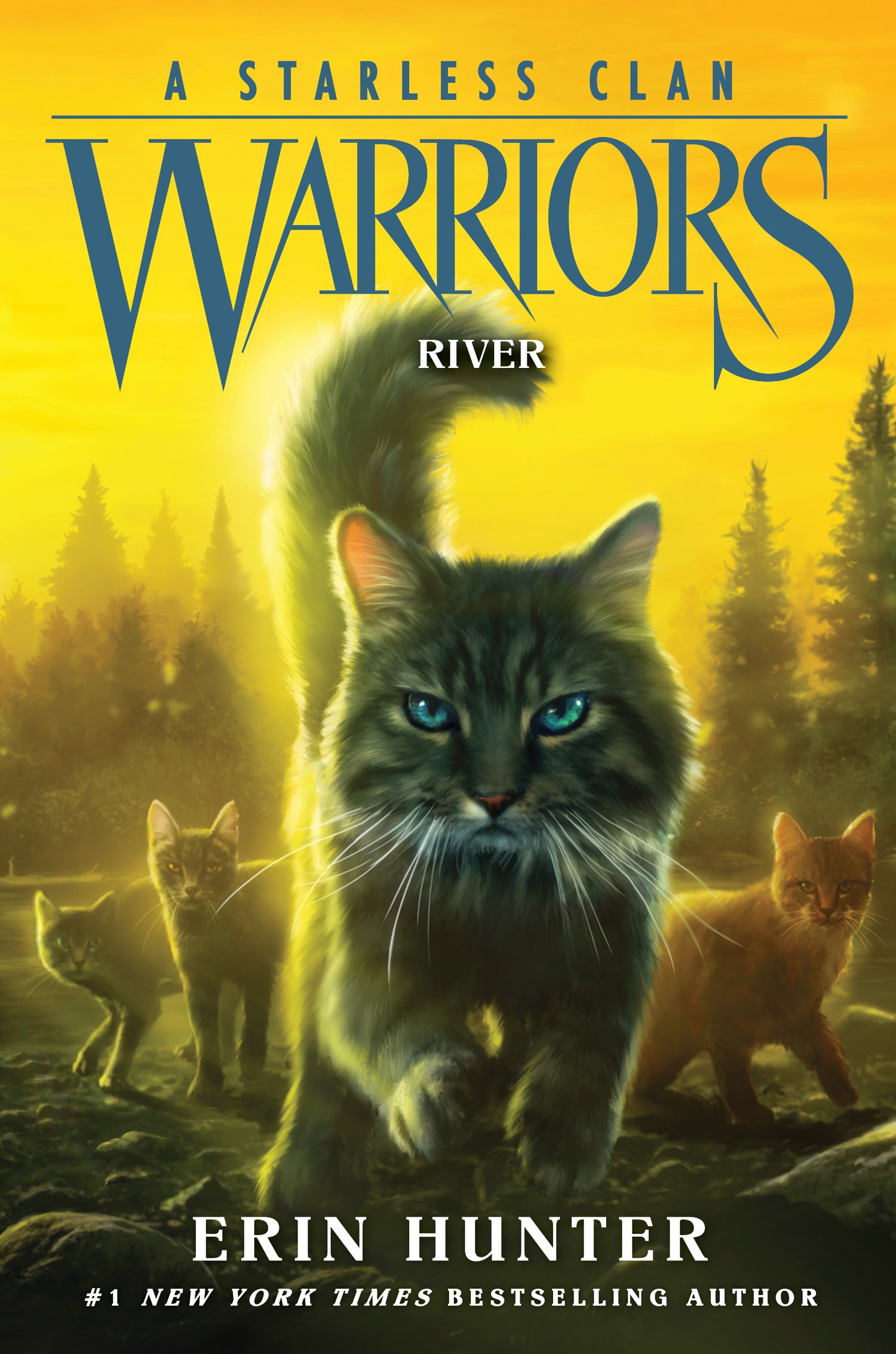 Warrior Cats Series 1: Books 1-6