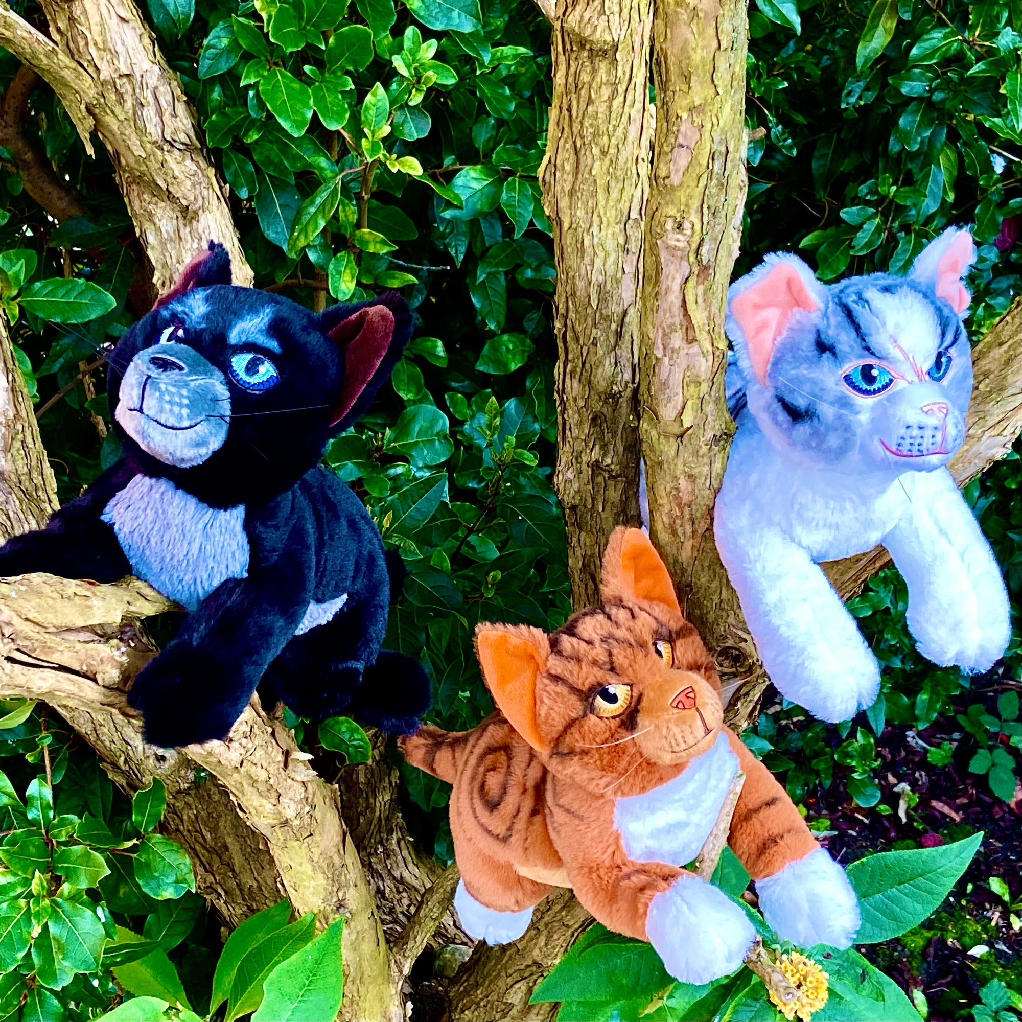 Bundle of 3 - Cinderpelt Ivypool Leafpool Large Plush l Official