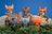 Graystripe & Jayfeather - Mini Collector Figures (Series 1)