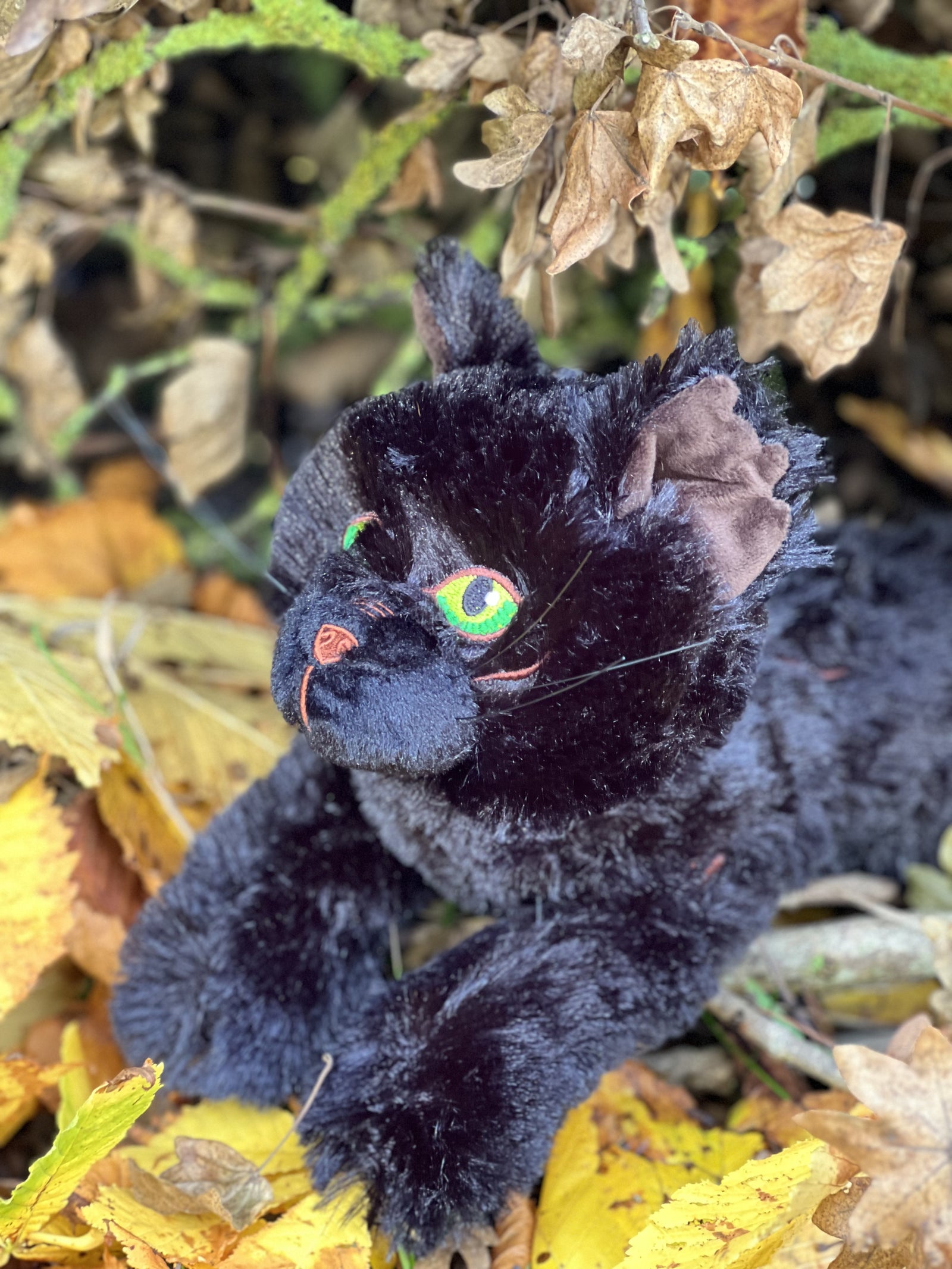 Hollyleaf Large Plush Cat