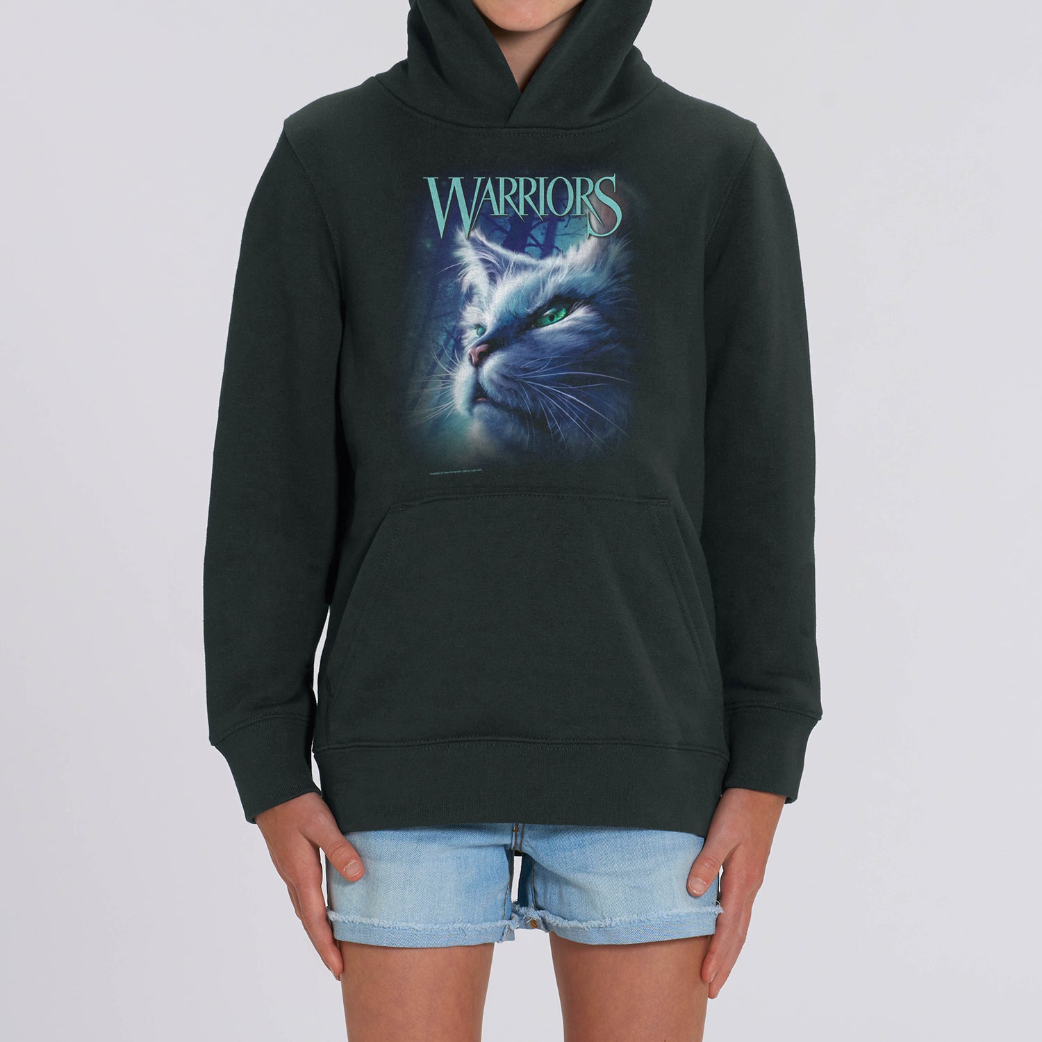 Warriors hotsell youth hoodie