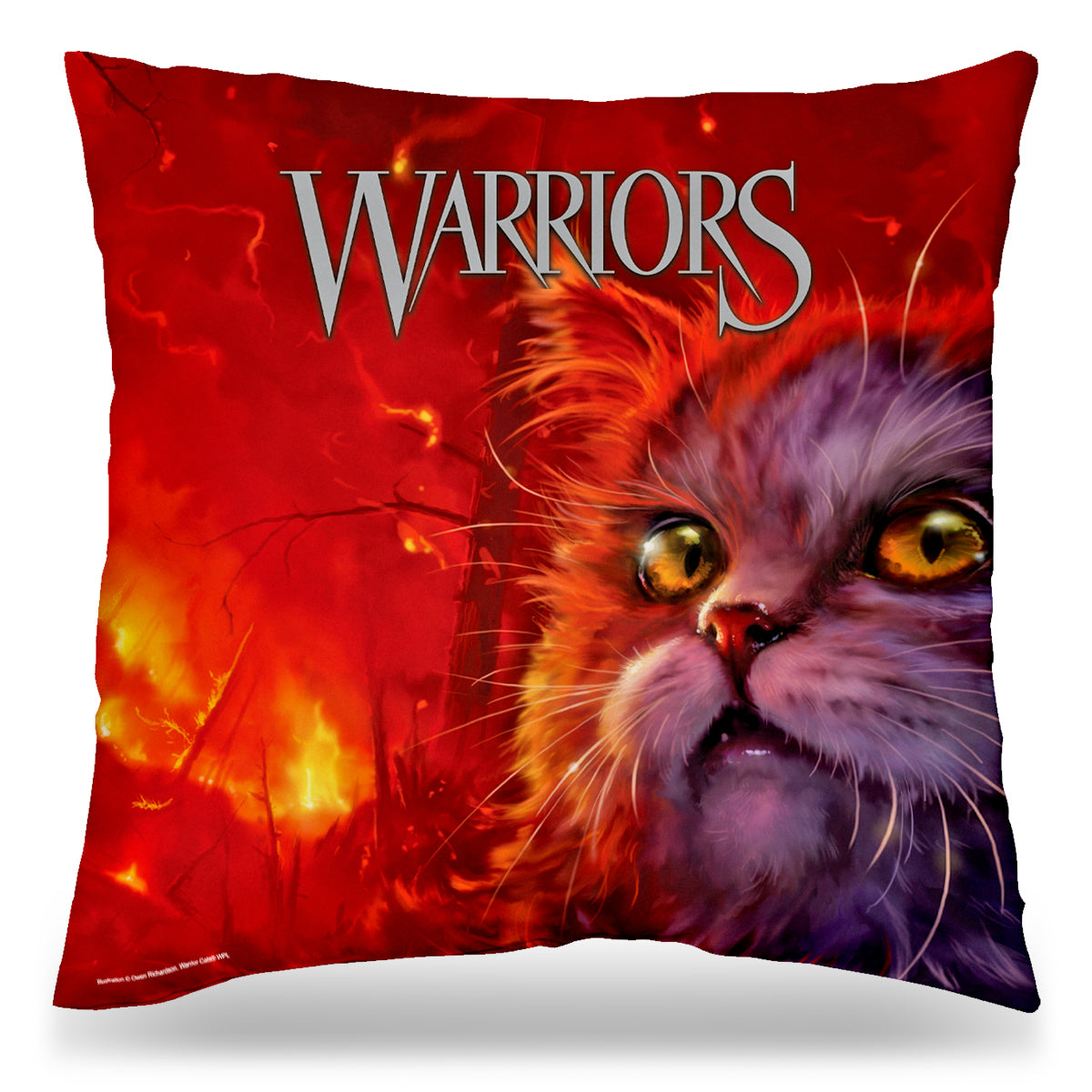 Rising Storm - 18x18 Cushion